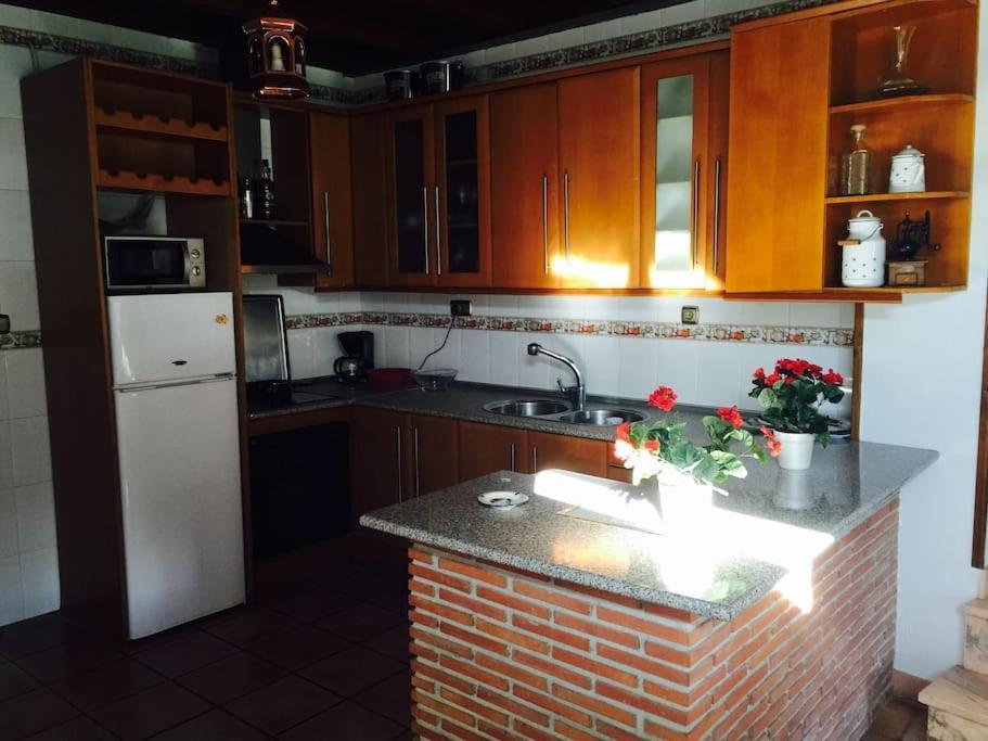 Appartement La Rochina à Grenade Extérieur photo